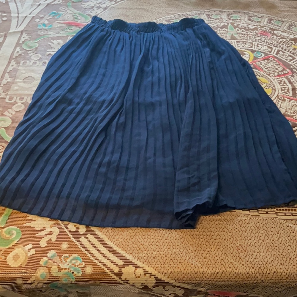 Sheer, navy, pleated skirt